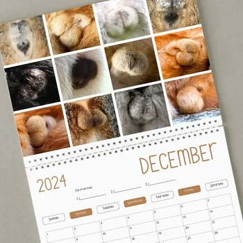 1 бр. Забавен котешки календар - забавен подарък - Календар на котешките задни части 2024 Хартиени фантастични подаръци Котка- - Котешки тестиси - Бял слон
